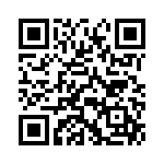 250R05L200FV4T QRCode