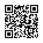 280613-1 QRCode