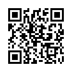 2900324 QRCode