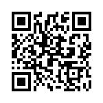 2903261 QRCode