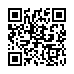 2903805 QRCode