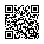 2904271 QRCode