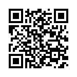 2906281 QRCode