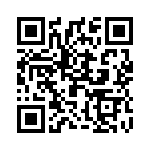 2907579 QRCode