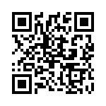 2907626 QRCode