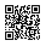 2907681 QRCode