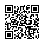 2M1DP3T2B4M7QE QRCode