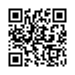 2N333 QRCode