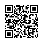 300100240121 QRCode