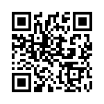 3001006 QRCode