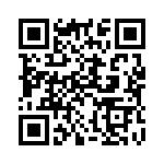 300168 QRCode