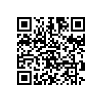 300AWSP1J1BLKM6QE QRCode