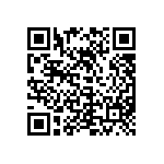 300AWSP1J6BLKVS2QE QRCode