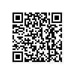 300AWSP4J4WHTM1QE QRCode