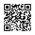 30J33R QRCode