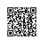 311-87-137-41-001101 QRCode