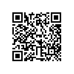 316-87-125-41-013101 QRCode