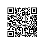 316-87-138-41-013101 QRCode