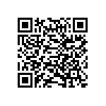 317-87-128-41-022101 QRCode