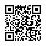 325225-13-0 QRCode