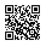 353NB3A384T QRCode