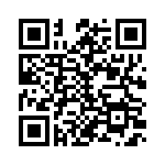 353NB3I135T QRCode