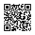 353NB3I480T QRCode