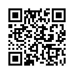 353NB5A163T QRCode