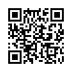 353NB5C384T QRCode