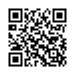 353NB5I128T QRCode