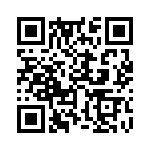 353NB5I163T QRCode