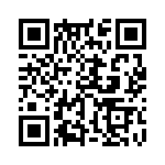 353SB3A307T QRCode