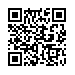 353TB6A250T QRCode