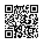 353TB6A384T QRCode