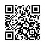 353VB3A307T QRCode