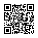 353VB5I655T QRCode