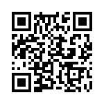 353WB5I100T QRCode
