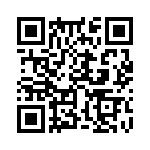 353WB5I384T QRCode