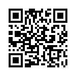 353WB5I491R QRCode