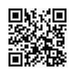 381N10K QRCode