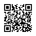 38L142C QRCode