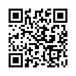 39Z4037-1 QRCode