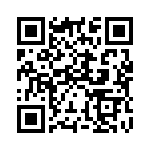 3PDSWS QRCode