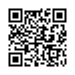 4-1102725-5 QRCode