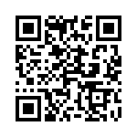 4-520424-1 QRCode