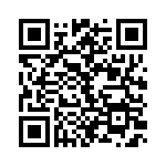 4-641313-4 QRCode