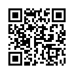 4-641313-5 QRCode