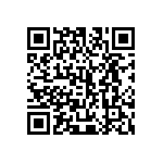 405C35E13M00000 QRCode