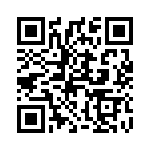 41095 QRCode