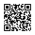 4181-3SG-300 QRCode